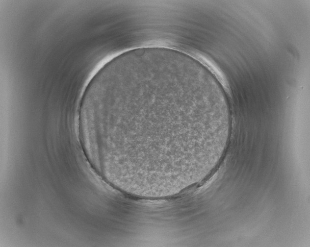 X0000114121340200911161131