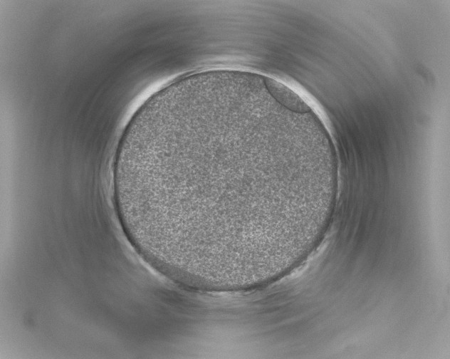 X0000114121341200911161131