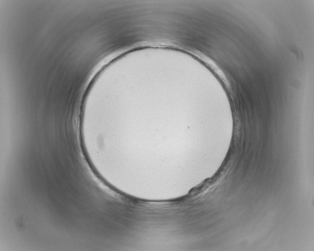 X0000114121343200911161131