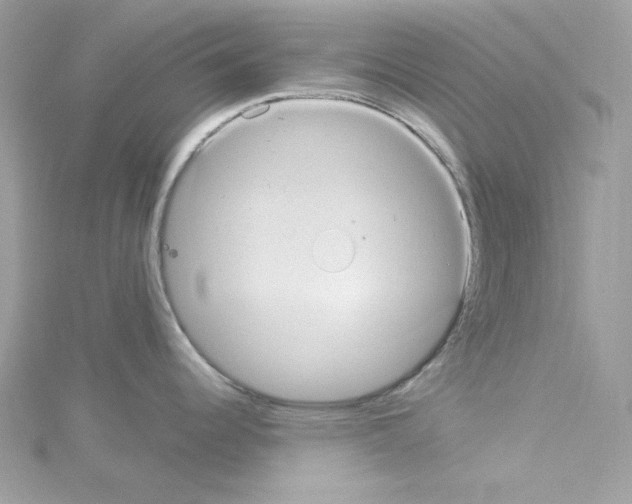 X0000114121344200911161131