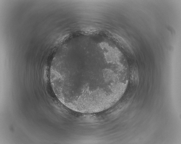 X0000114121346200911161131