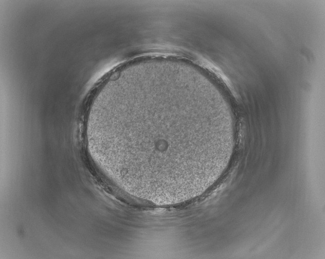 X0000114121352200911161130