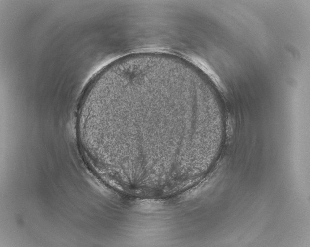 X0000114121356200911161130