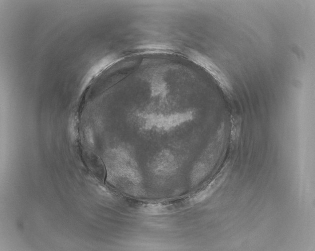 X0000114121357200911161130