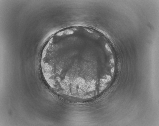 X0000114121359200911161130