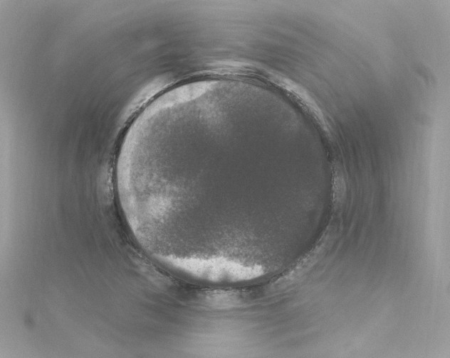 X0000114121362200911161130