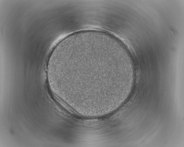 X0000114121363200911161130