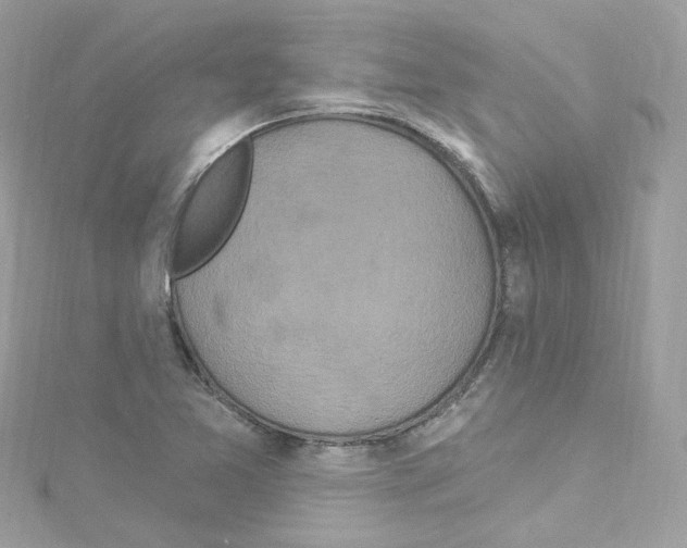 X0000114121365200911161130