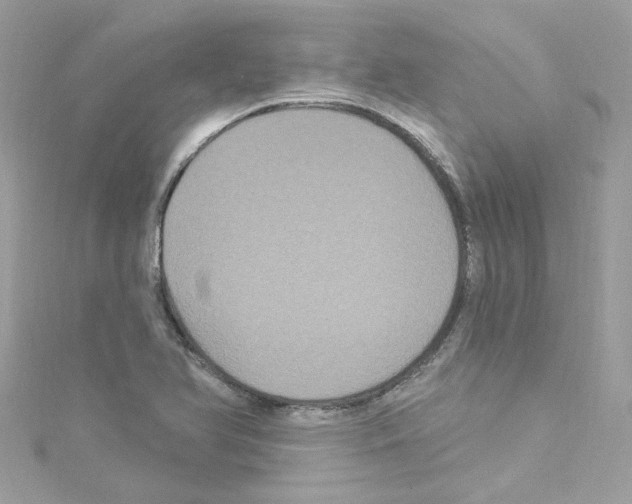 X0000114121366200911161130