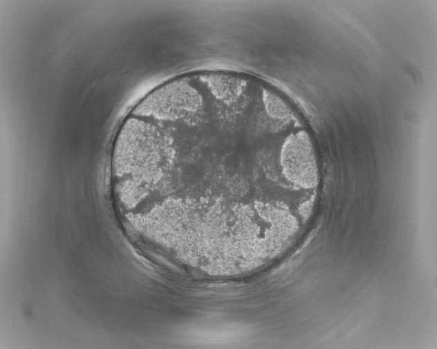 X0000114121367200911161130