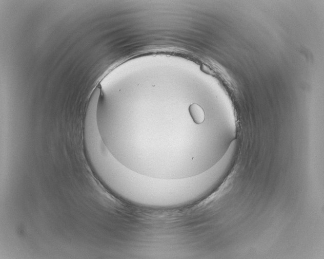 X0000114121369200911161130