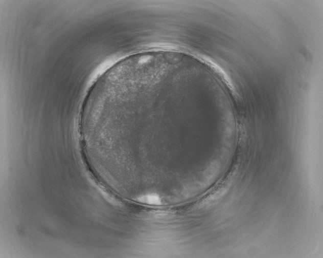 X0000114121373200911161130