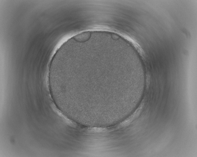 X0000114121374200911161130