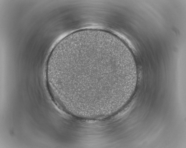 X0000114121375200911161130