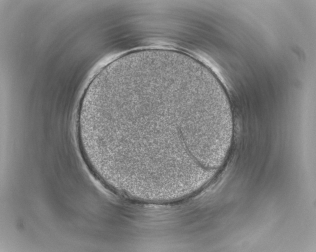 X0000114121379200911161130