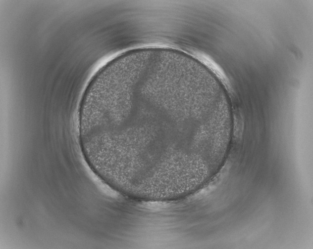 X0000114121380200911161130