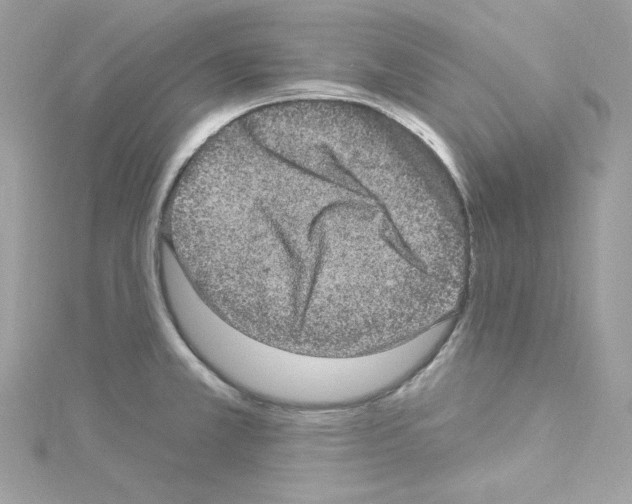 X0000114121381200911161130