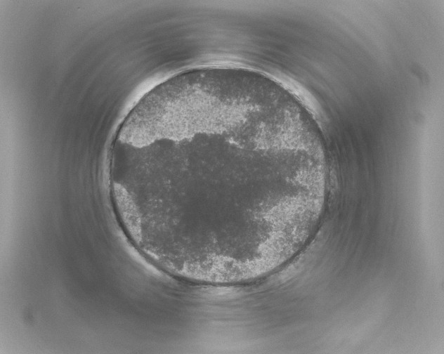 X0000114121382200911161130