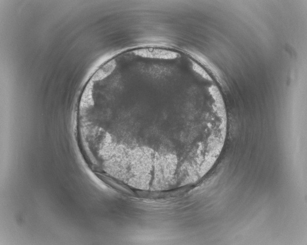 X0000114121383200911161130