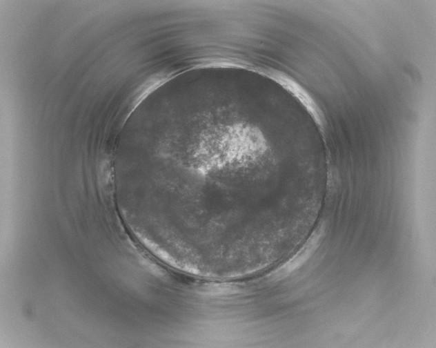 X0000114121385200911161130