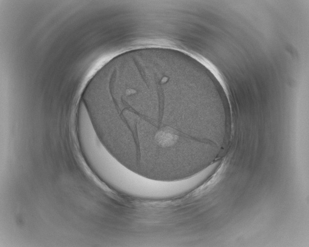 X0000114121389200911161130