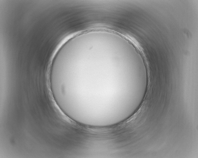 X0000114121392200911161130