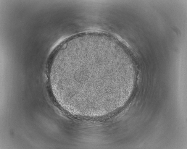 X0000114121400200911161129