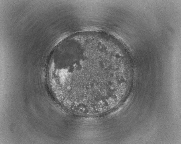 X0000114121401200911161129