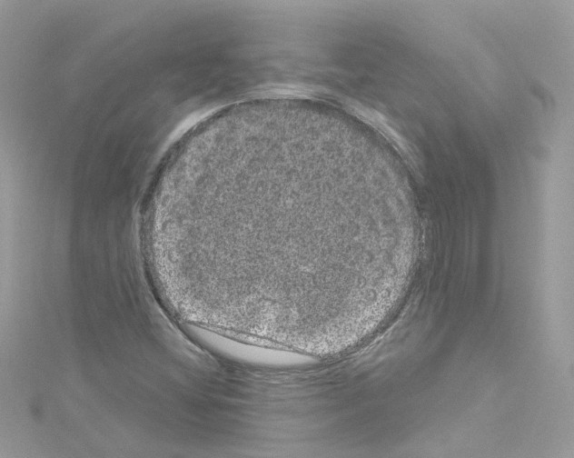 X0000114121404200911161129