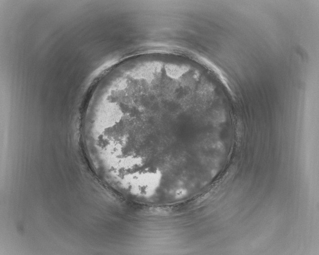 X0000114121411200911161129