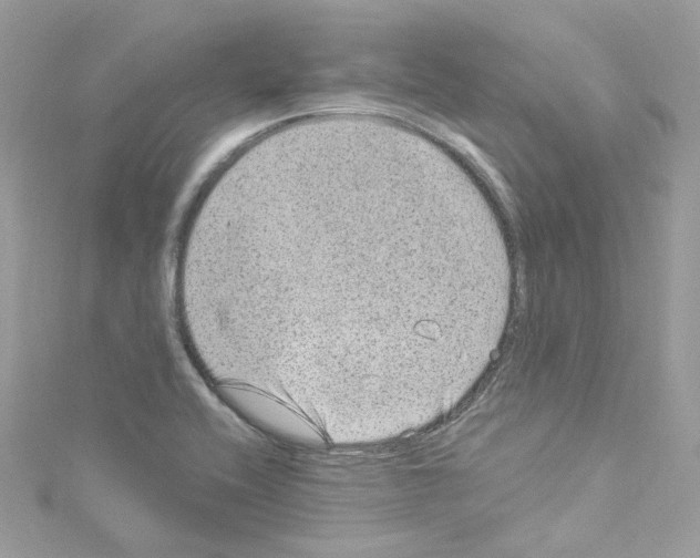 X0000114121416200911161129