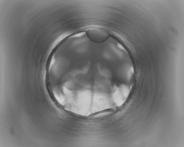 X0000114121418200911161129