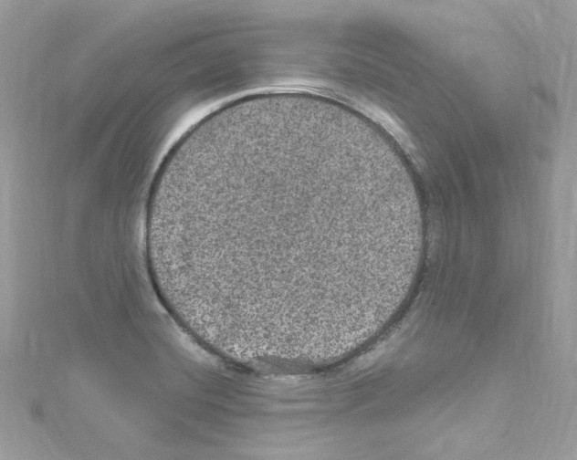 X0000114121420200911161130