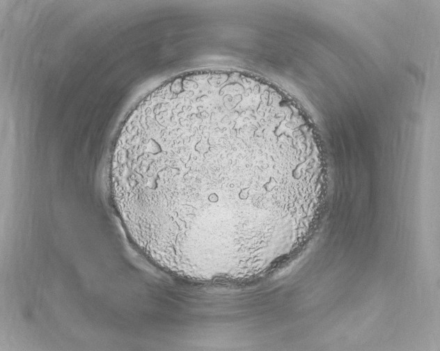 X0000114121421200911161130