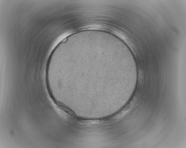 X0000114121426200911161130