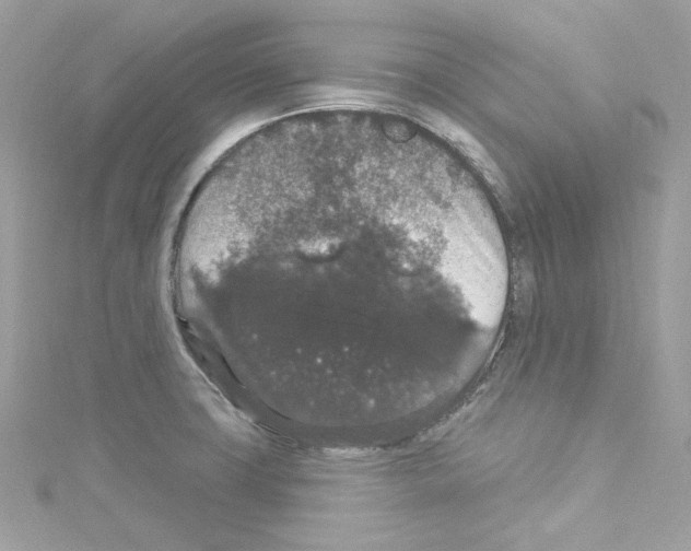 X0000114121427200911161130