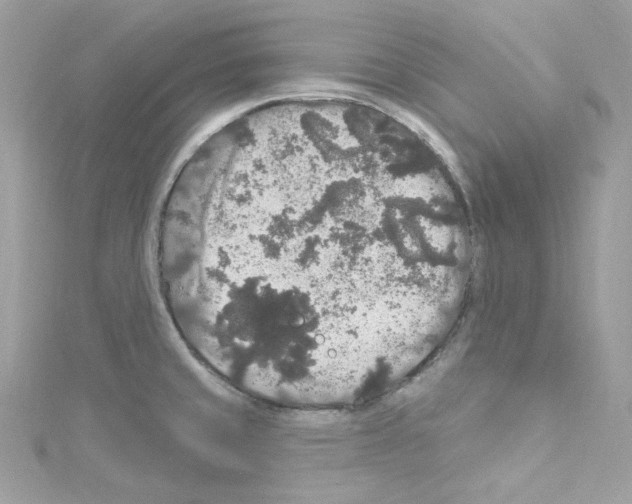 X0000114121429200911161130