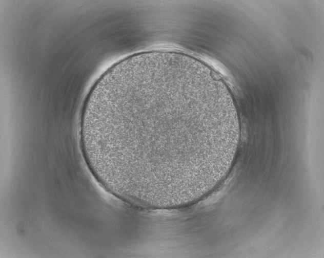 X0000114121430200911161130