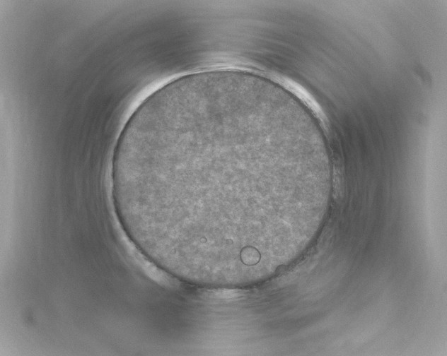 X0000114121431200911161130