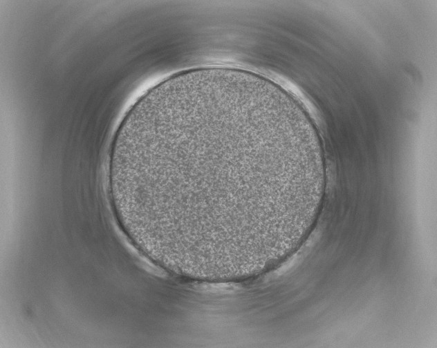 X0000114121432200911161130