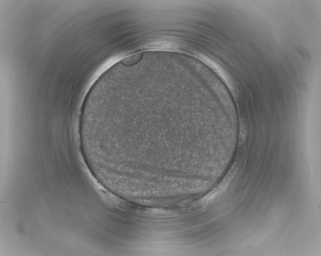 X0000114121434200911161130