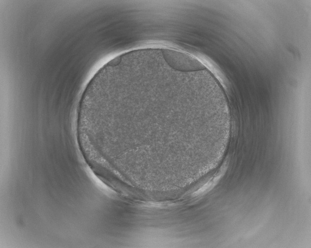 X0000114121438200911161130