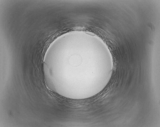 X0000114121441200911161129