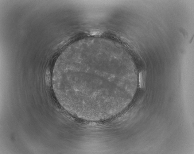 X0000114121443200911161129