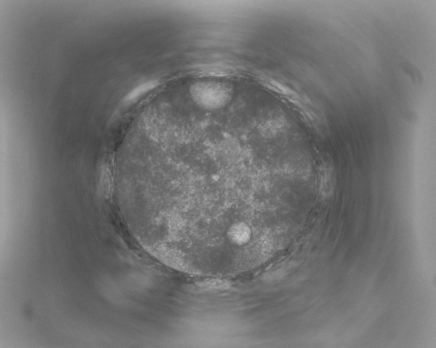 X0000114121446200911161129