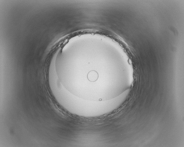 X0000114121448200911161129