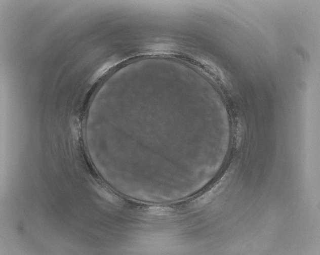 X0000114121449200911161129