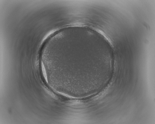 X0000114121450200911161129