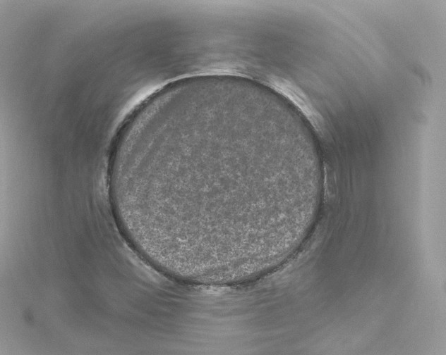 X0000114121452200911161129