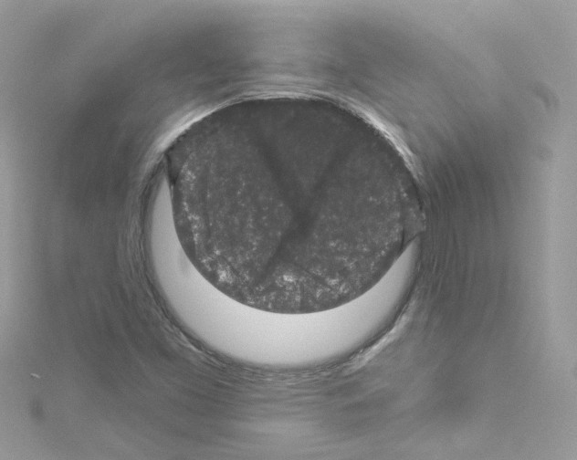 X0000114121453200911161129